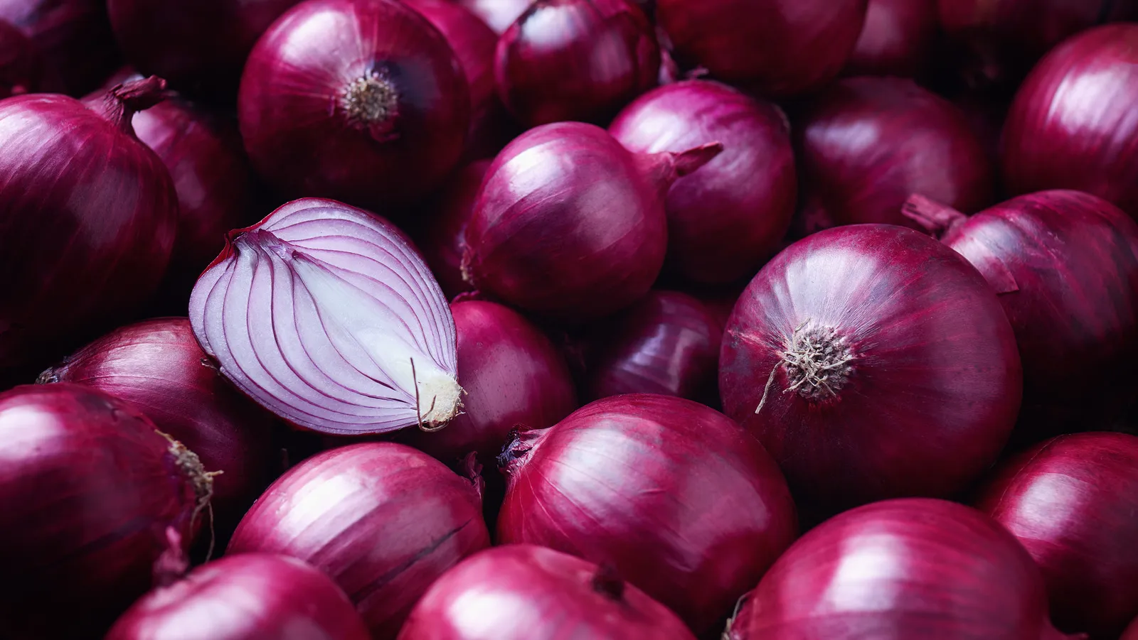 Red Onion - Uttibha Global Trade